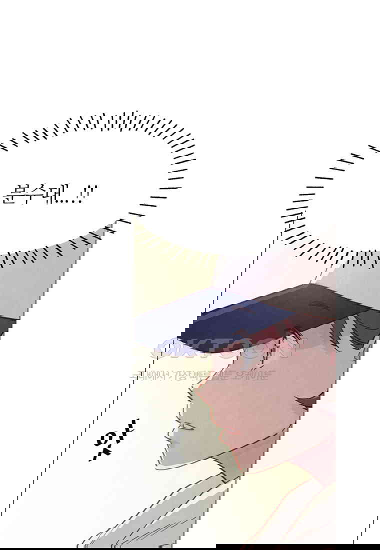 173023786352096wgp5cvzbp.jpg