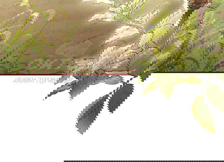173050165101021kgs92y9nw.jpg