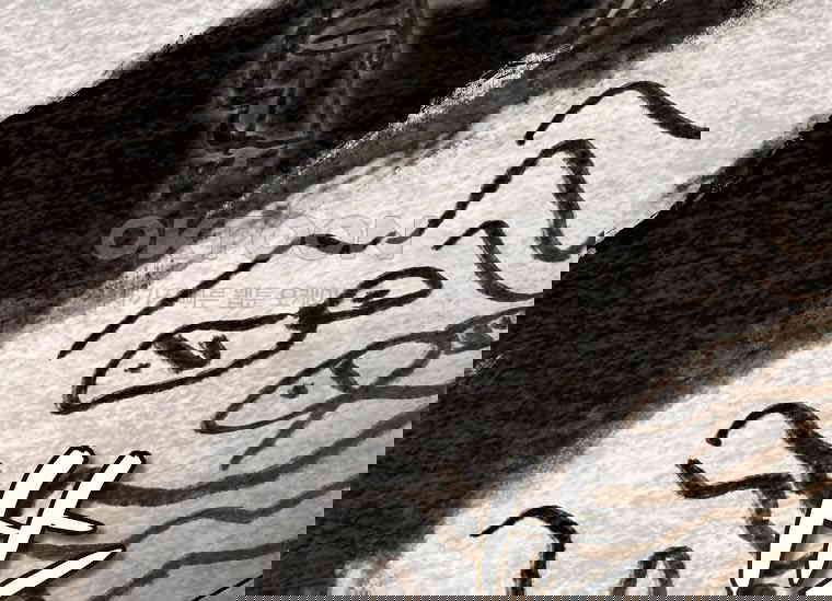 1730501658090hfs2x4zdpyl.jpg