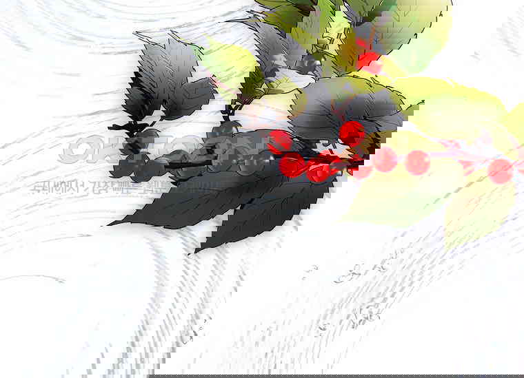 1730501669351la7n15q5im.jpg