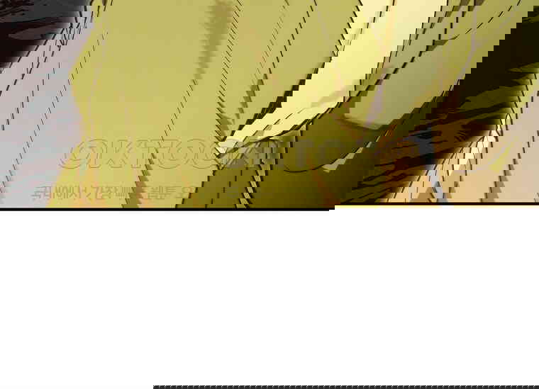 17305016874789emajzfg8n4.jpg