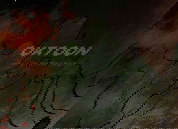 1730501689177w1o5udm7lws.jpg