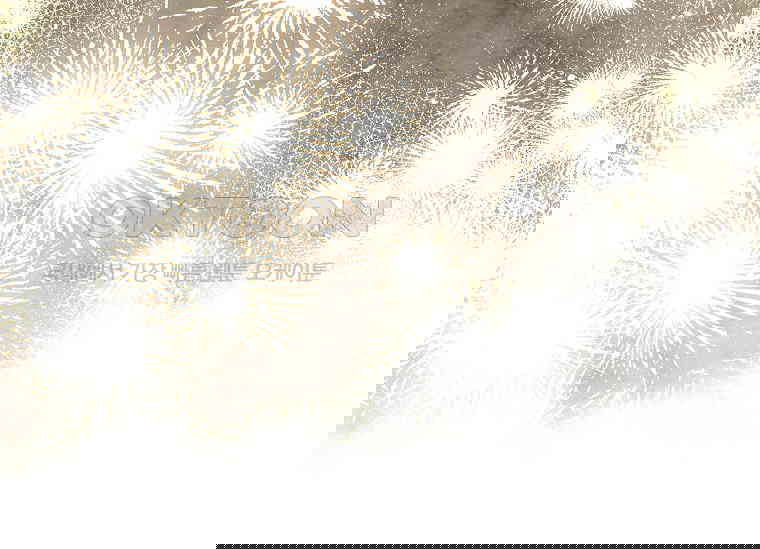 1730501702757yw9mng3j7bm.jpg