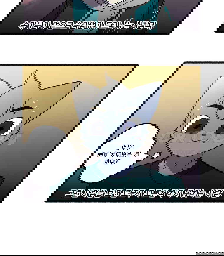 1730662265234e3c6sccfztd.jpg