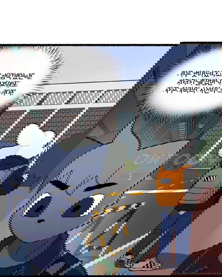 1730662268189lczpzwltbrr.jpg