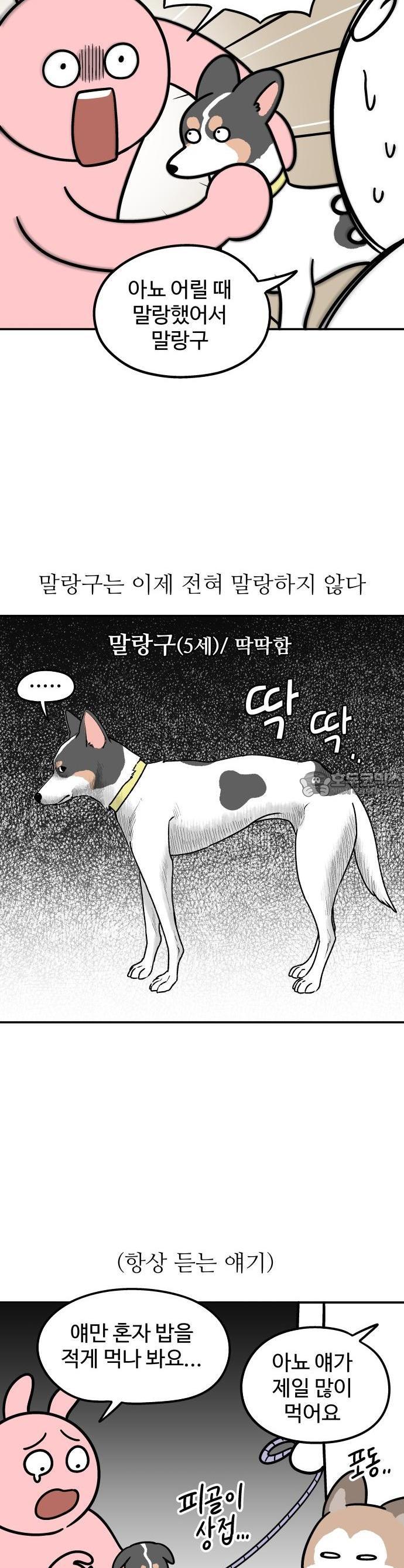 1734006612668cqjzp3wuyl.jpg