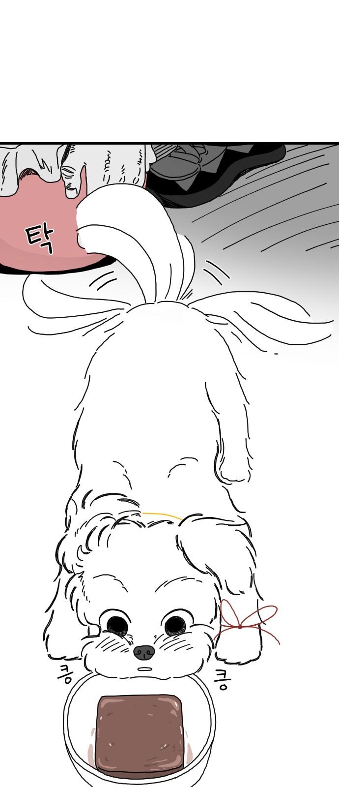 17365536583787ju2b1nj8er.jpg