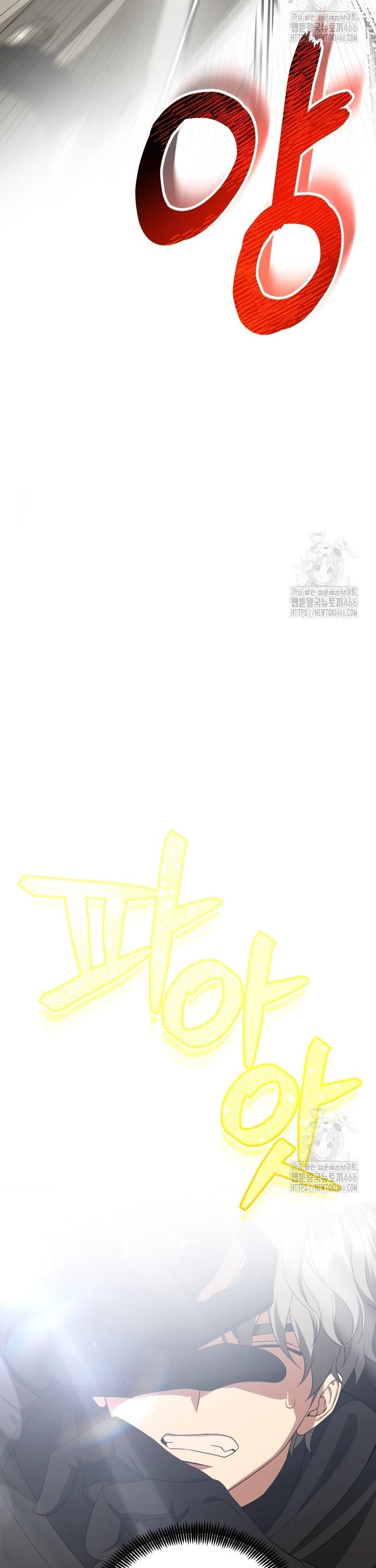1736716691660sho8f1vyyud.jpg