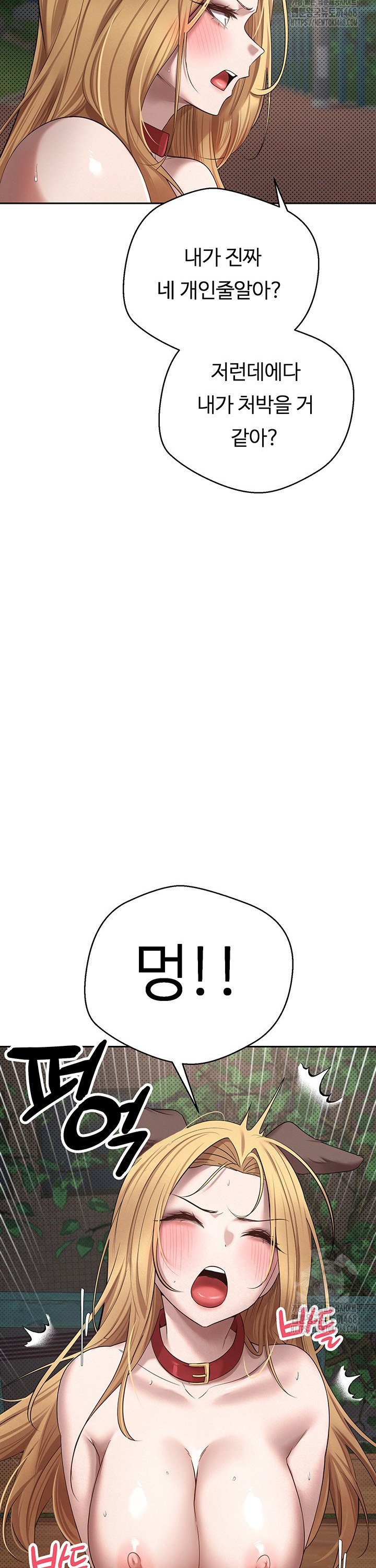 1739332778181k8eobi5sj1f.jpg