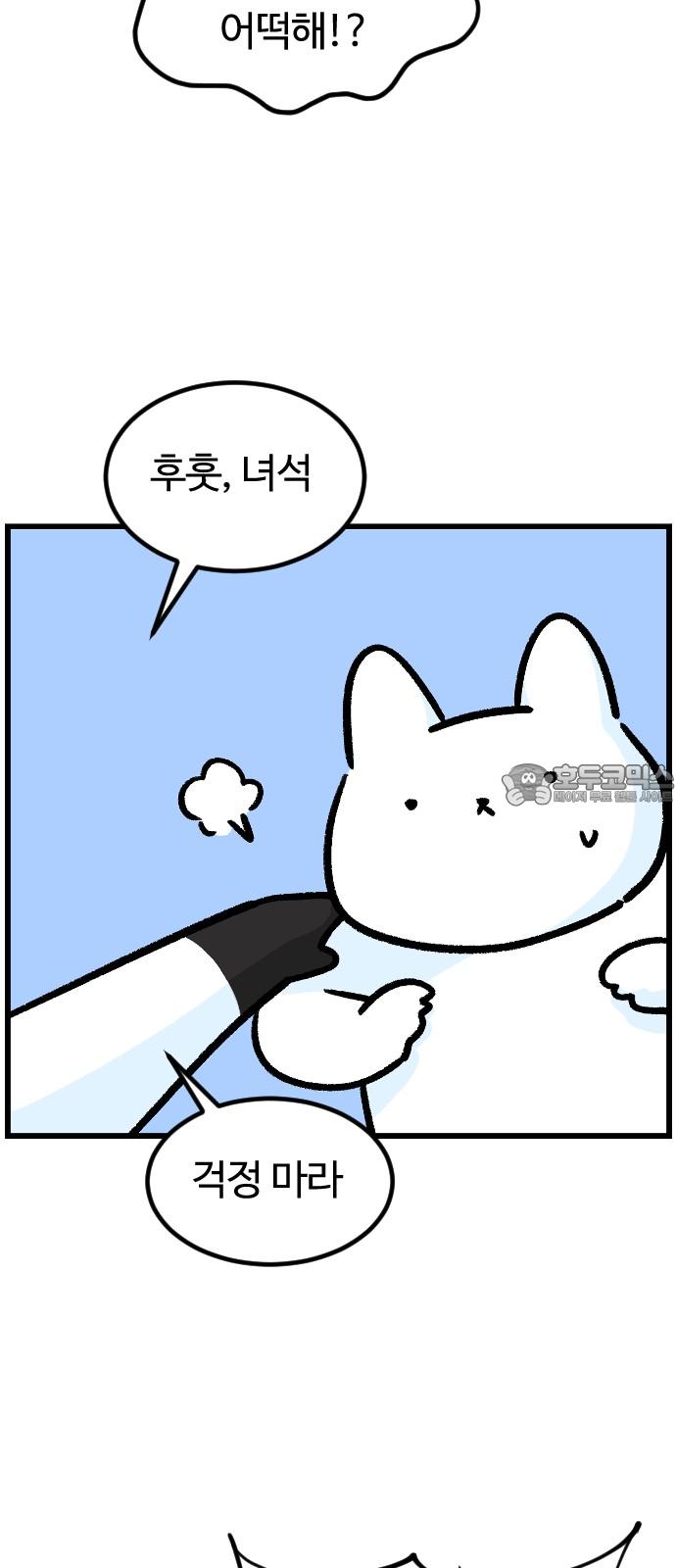 1738709226244nwre3neez9j.jpg