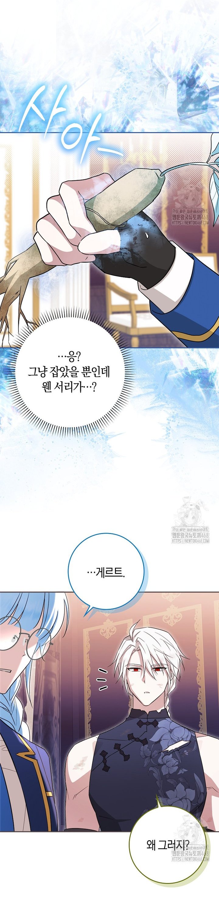 1741587366107n7sy9aenohe.jpg