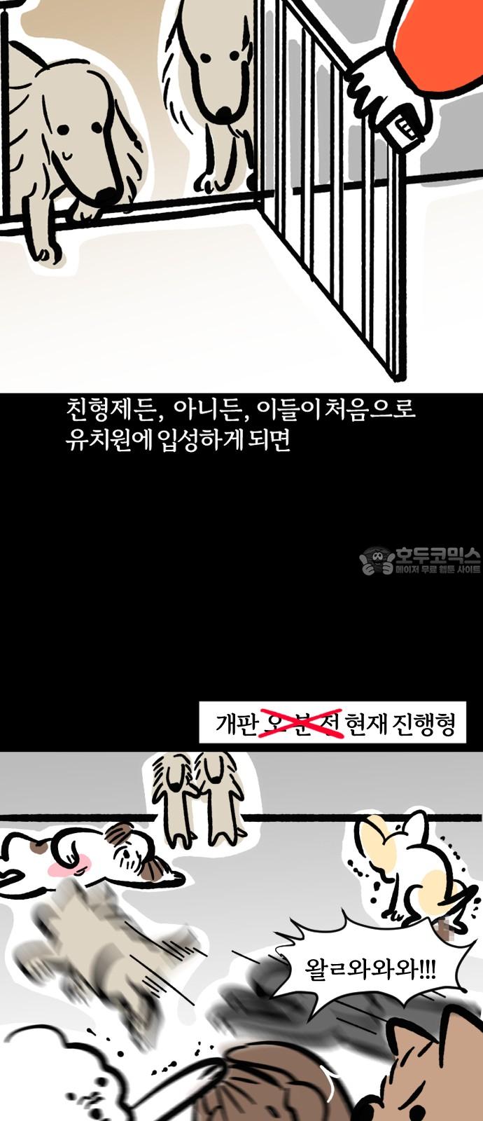 1743110613036wl32h5abi1p.jpg