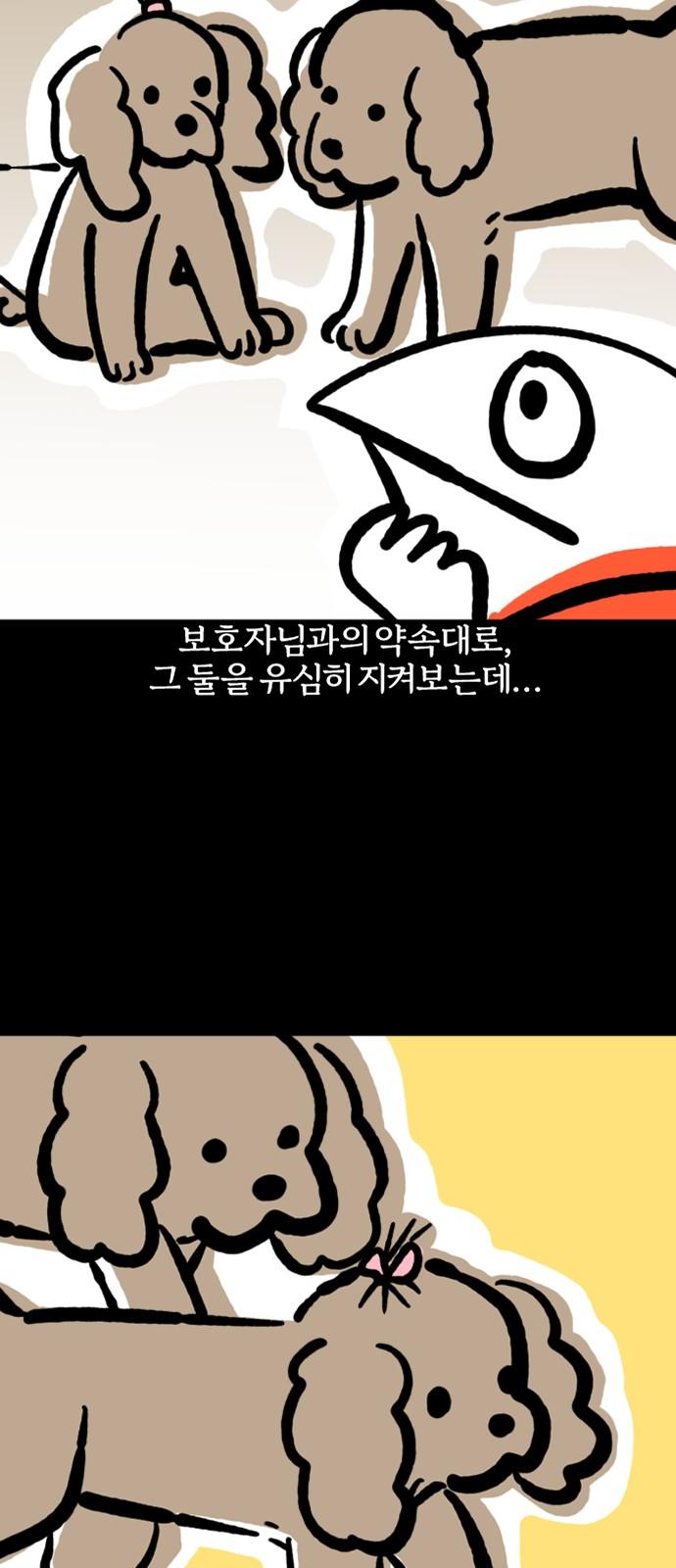 1743110614126681w83ksib7.jpg