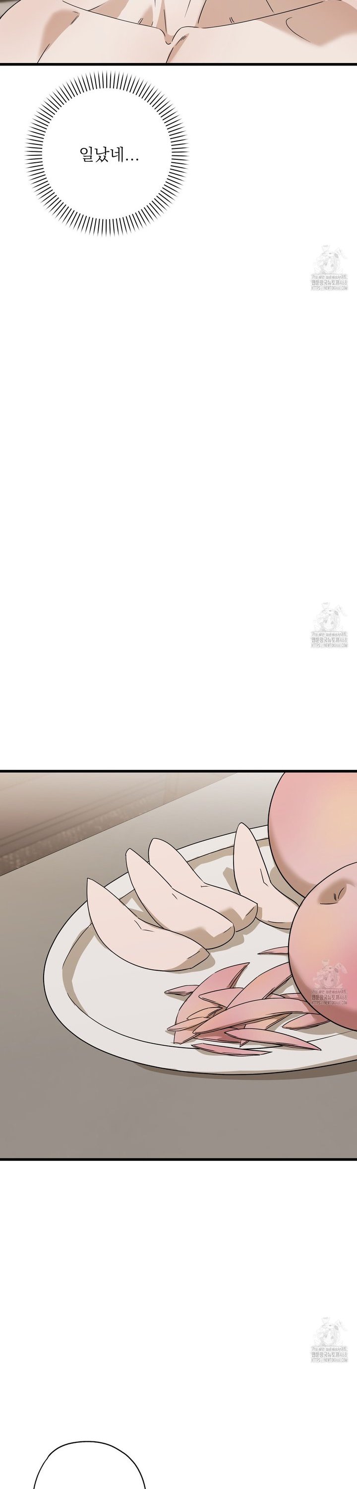 1743129289162sfn1ds1nbij.jpg