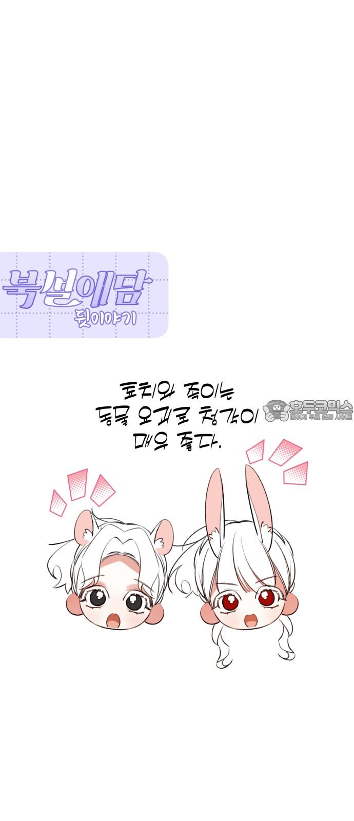 1741297454574iumul6qzcv.jpg