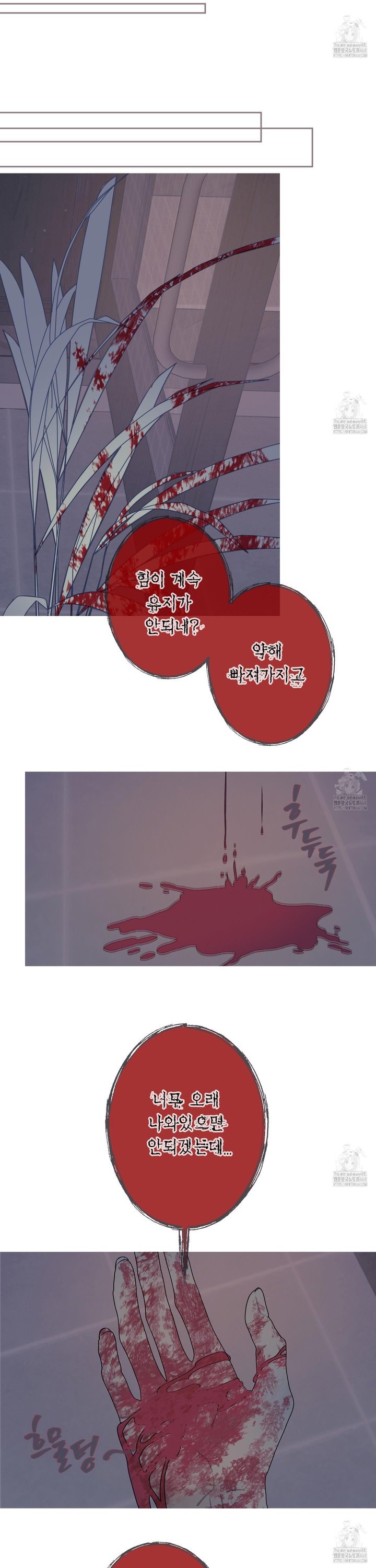 1744241760637vbewvl30nb.jpg