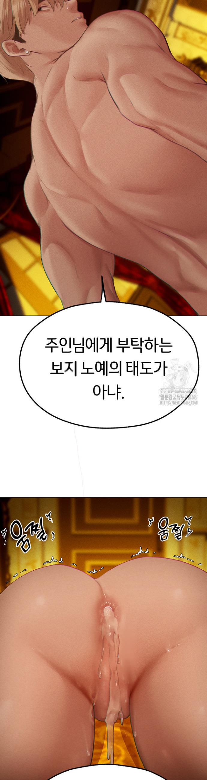 1744762317815plcn00panie.jpg