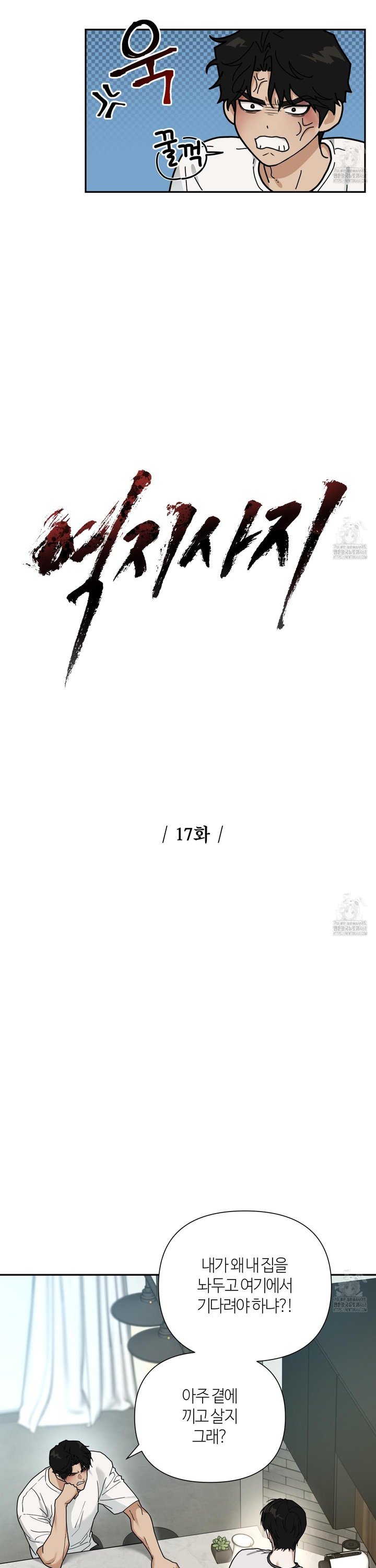 17456264195265ifie15ce08.jpg
