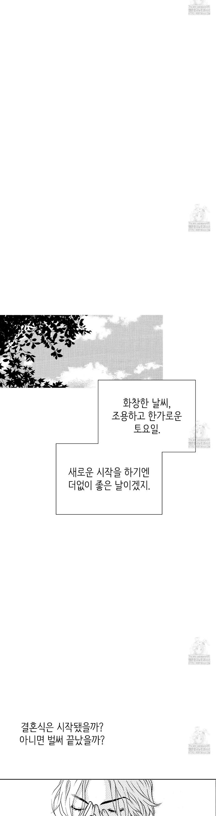 1743976189258lt8ebdqcgu.jpg