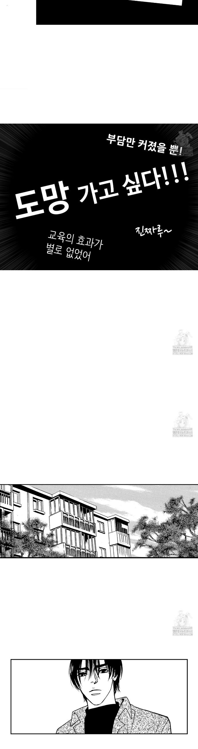 1743976222633wn6ye9s5n2a.jpg