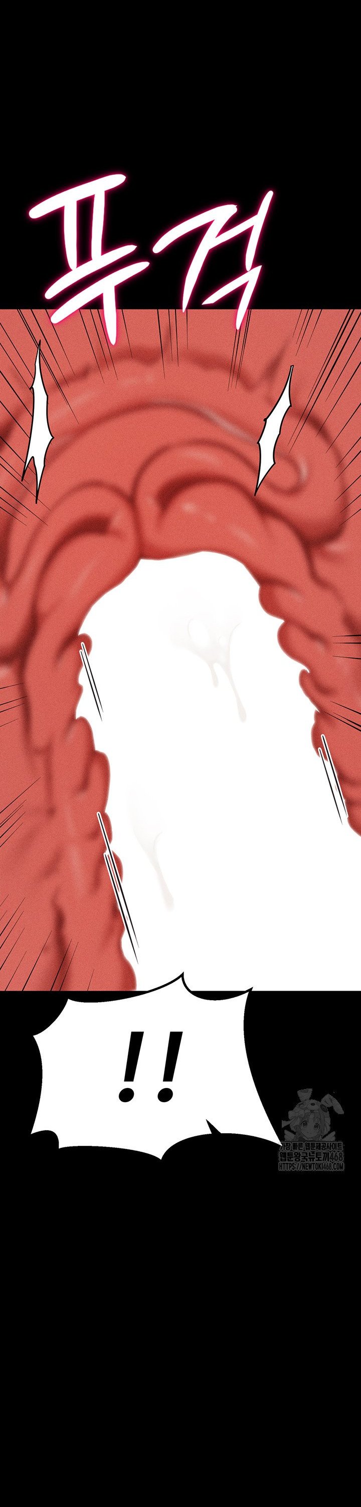1744062944209neufxicdhrr.jpg