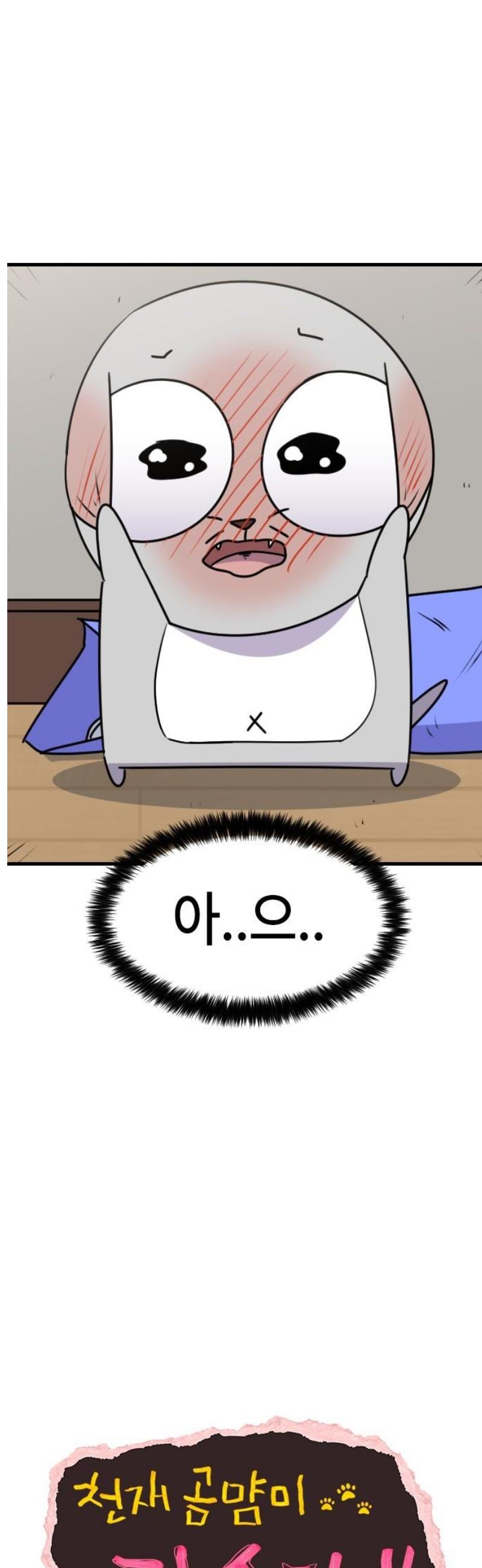 17473453099286jrz7o4nm6e.jpg